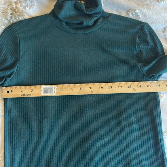 Madewell Forest Green Ribbed Turtleneck medium - Picture 3 of 5